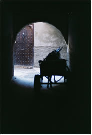 Donkey Cart, Marrakesch 2006