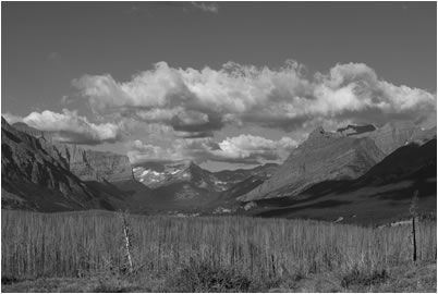 Forest, Clouds and Mountain Range, Glacier NP, USA, 2013