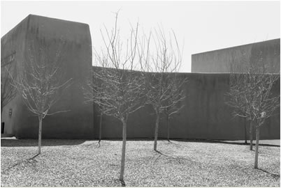 Adobe and Trees, Santa Fe, New Mexico, 2010